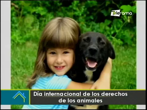 Día Internacional de los derechos de los animales