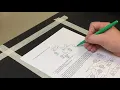 Tips for Pedigrees Worksheet
