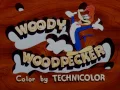 Download Lagu Woody Woodpecker theme