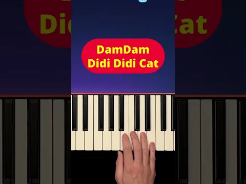 DamDam Didi Didi Cat Meme - Piano Tutorial