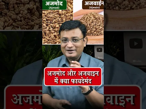 अजमोद प्रयोग करे या अजवाइन | Vd. Prateek Agrawal (1282) #ajwain #ayurveda #healthtips #ayurveda