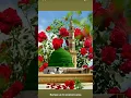 Download Lagu Aaye kas me ban jawo madine ka musafair 🕋🤲 Aamin 🥀🥀🥀💝💖💫👍👍
