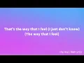 Lisa Lisa & Cult Jam, Full Force - I Wonder If I Take You Home (Lyrics)