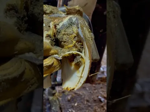 I didn’t think the layers would ever stop…..