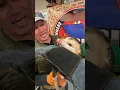 Urban Legend Opossums will not bite you True or False
