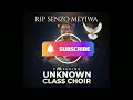 Orlando Pirates song: Senzo Meyiwa