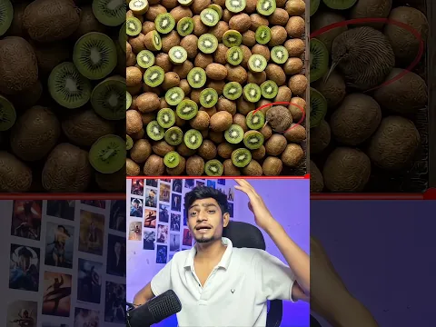 Can you find the odd one #shortvideo #shortsfeed