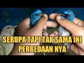 Download Lagu AWAS JANGAN SAMPAI KE TUKER