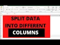 Split data into different columns in excel