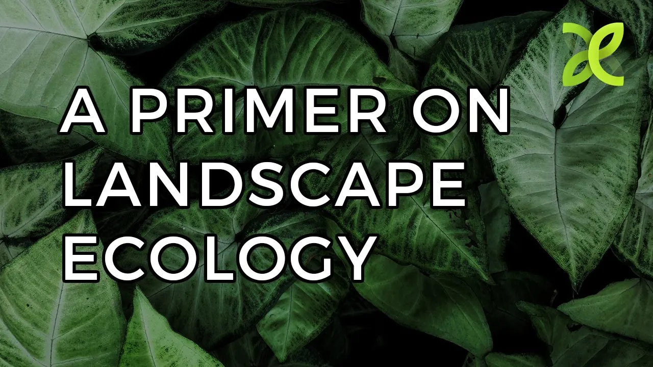 A Primer on Landscape Ecology