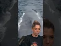 WHY S IT LOOK LIKE THAT