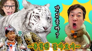 과거의 나... 이거 실화냐? 거대 뱀 목걸이한 라임! 에버랜드 사파리 주렁주렁 테마파크 토이빌리지 몰아보기 아이와 동물원 체험 | 라임튜브 LimeTube