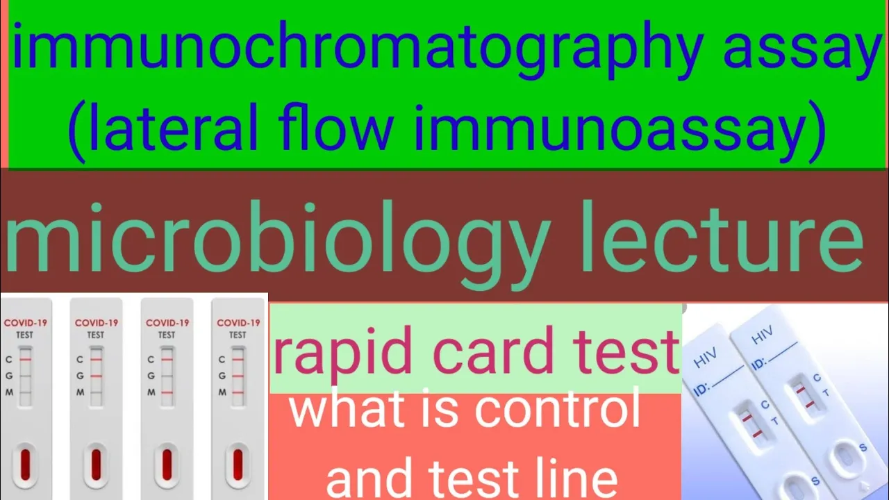 immunochromatography assay (lateral flow immunoassay ) / rapid immunoassay test