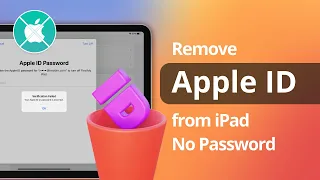 2 Ways How to Remove Apple ID from iPad without Password 2025 Full Guide
