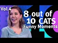Download Lagu Funny 8 Out of 10 Cats Moments! | Cats MEGAMIX | Volume.4  | 8 Out of 10 Cats