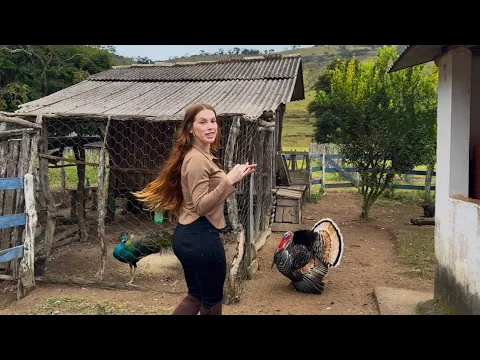 Vídeo do YouTube
