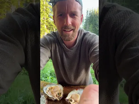 Harvesting scallops, catch and cook
