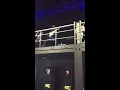 혁오(Hyukoh) ssf 표절시비 언급+pandabear