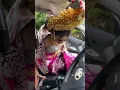 Download Lagu Kutukan Mantan Masih Terlihat Jelas