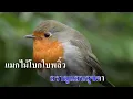 ชื่นรัก : ดิอิมพอสซิเบิ้ล