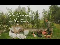 Download Lagu #26 Peaceful Countryside Vlog | Tomato Harvest \u0026 Canning, Cozy Garden seating, Farm Chores