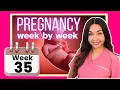 Week 35 Pregnancy Pregnancy Week By Week