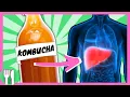 What Happens To Your Body When You Drink Kombucha Nutritionist Explains