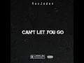 Download Lagu VoxJaden - Can't Let You Go (Official Audio)