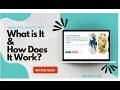 Immudi Reviews - What is It How Does It Work
