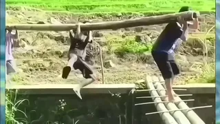 مقاطع مضحكه   افضل تجميع مقاطع منوعه   لشهر اكتوبر        مقاطع مضحكة  فيديوهات مضحكة               دندنها