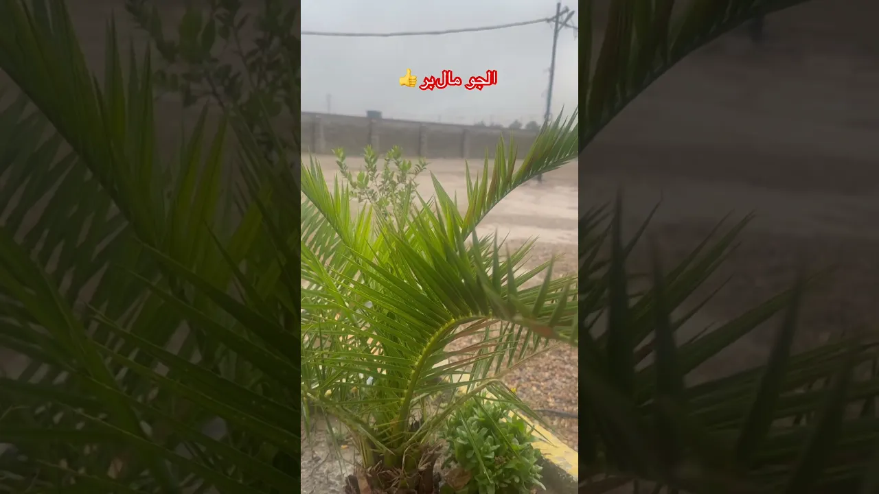 الجو يخبل 👍