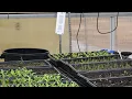 Springfield Community Gardens joins regional partnership to support local farmers and growers