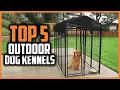 Top 5 Best Outdoor Dog Kennels of 2026
