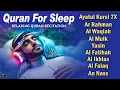 Download Lagu Ultimate Quran Recitation in A Peaceful Voice I Alfatiha, Yasin,Arrahman ,AlWaqiah,Almulk -Alaa Aqel