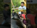 Download Lagu Aparna \u0026 Yogesh || Pre wedding || BTS videos | Ha Rang Chadhu De | Song #GracePhotography