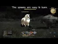 Aldgoat Skin Farming Final Fantast XIV