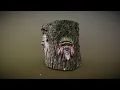 The Faces of a Tree A 3D scanning workflow