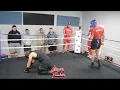 Benavidez Camp Sparring Wars Diego Pacheco drops sparring partner w bodyshot