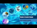 Module 6 Lesson 4