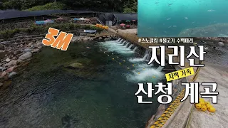 지리산 산청 계곡 수심 3미터 물고기 천국 / 차박 가족 나들이 / 스노클링 / 영상 보시고 다녀오세요 썸네일