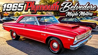 Test Drive 1965 Plymouth Belvedere $27,900 Maple Motors #3728