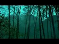 Bon iver - rosyln |calming rain sound| 3 hours of sleep and focus 