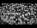 LORN - All Corrupt Everything