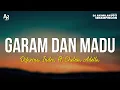 Download Lagu Garam dan Madu - Difarina Indra Ft. Chelosa Adella (LIRIK)