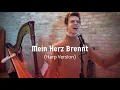 Alexey Baklan - Mein Herz Brennt Cover (Harp Version) full cover