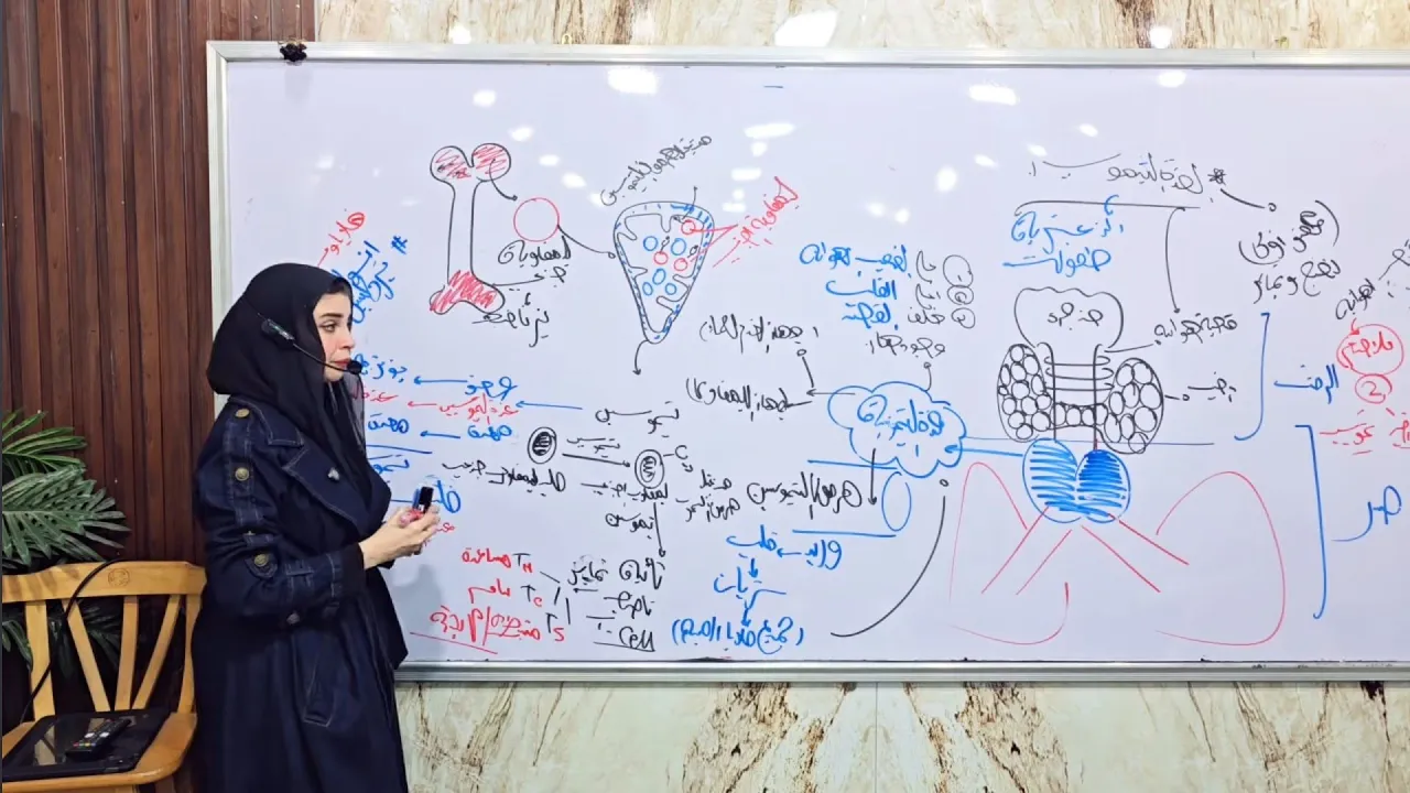 المناعة في الإنسان 🛡️/ مقدمة + الاعضاء الليمفاوية ج1(🦴نخاع العظام و الغدة التيموسية )