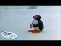 Download Lagu Best Episodes from Season 2 | Pingu - Official Channel | Cartoons For Kids