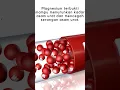 Download Lagu 5 Obat Herbal Asam Urat yang Ampuh Redakan Nyeri
