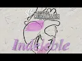 Banda Los Sebastianes De Saúl Plata - Indeleble (Visualizer)