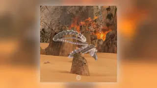 galtier scuffed souls audio 